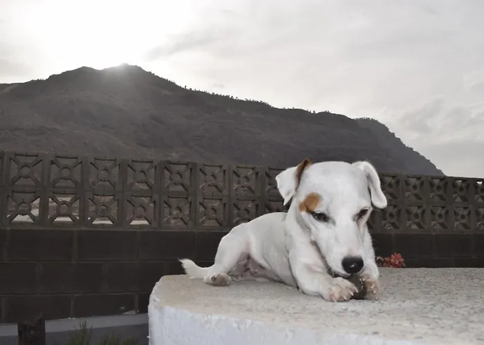 El Molino * San Nicolás