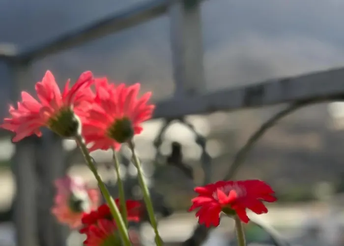 El Molino Hotel San Nicolás