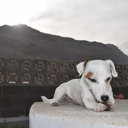 El Molino * San Nicolas