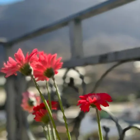 El Molino Hotel San Nicolas